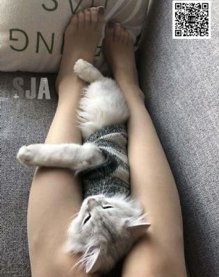 中国激情网_DVD高清视频观看