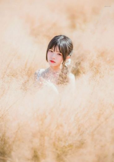 正阳门下小女人免费观看电视剧_高清神马影院在线