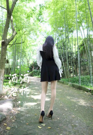 《疯狂动物城2》免费观看_BD免费观看电视剧
