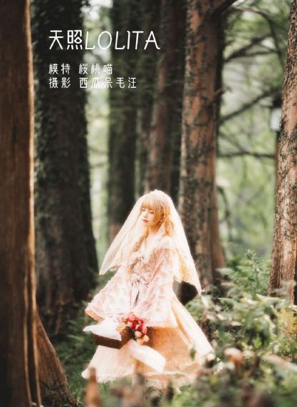 神雕侠侣刘亦菲版_BD电影在线观看